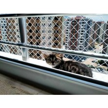 Empressco 2,50X4M Kedi Güvenlik Filesi Balkon Güvenlik Ağı Güvenlik Filesi Kedi Koruma (4cm Göz Aralıkları)