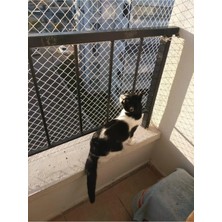Empressco Kedi Filesi, Balkon Koruma Filesi 2METREX10METRE