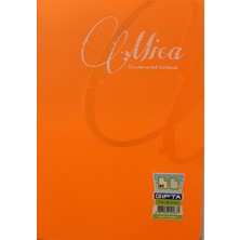 Gıpta A4 60 Yap. Kareli Defter Plastik Kapak