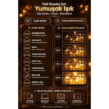 8 Mod Perde Ledi 300 LED 3X3M 10 Sarkıt LED Yılbaşı Oda Dekoru Kumandalı Peri Perde LED