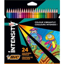 Happy Trend Bıc Color Up Üçgen Kuru Boya Kalemi, 24'lü Kutu