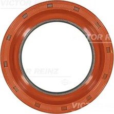 Krank Keçesi - (Fiat Ducato) - (VICTOR-REINZ-813760100)