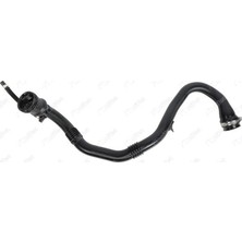 Turbo Hortum ve Conta - (Dacia Sandero, Logan) - (BSG-75720330)