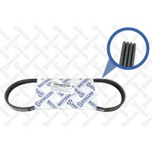 V Kayışı - (Fiat Seicento, 500, Panda, Grande Punto, Punto, Doblo, Bravo, Idea, Linea, Palio, Siena, Mito) - (ROADMAX-668K4)