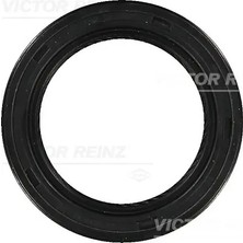 Krank Keçesi - (Fiat Siena, 500, Grande Punto, Punto, Tipo, Idea, Strada, Linea, Palio, Egea) - (VICTOR-REINZ-813480500)