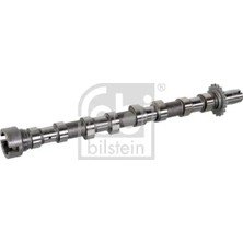 Febi Bilstein Eksantrik Mili - (Fiat Scudo) - (FEBI-BILSTEIN-176294)