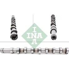 Eksantrik Mili - (Fiat Scudo) - (SCHAEFFLER-INA-428018310)