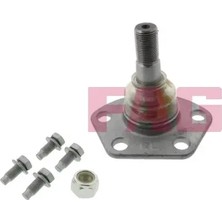 Rotil - (Fiat Ducato) - (SCHAEFFLER-FAG-825019110)