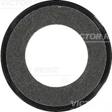 Eksantrik Keçesi - (Dacia Sandero, Logan) - (VICTOR-REINZ-813523900)