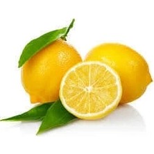 TKÇ Limon Bonesi / 10 Adet / Bitki Çayı Bonesi