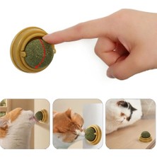 TKÇ Duvara Yapışan Dönen Kedi Nanesi Cat Oyun Topu Doğal Kedi Oyuncağı