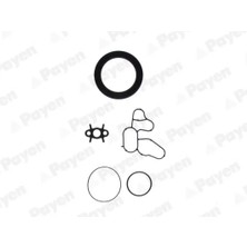 Takım Conta - (Fiat Siena, Panda, Punto, Doblo, Idea, Palio) - (PAYEN-ED5800)