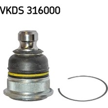 Rotil - (Dacia Logan, Sandero) - (SKF-VKDS316000)