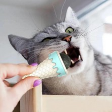 TKÇ Dondurma Şeklinde Kedi Nanesi Kedi Otu