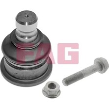 Rotil - (Dacia Logan, Sandero) - (SCHAEFFLER-FAG-825016810)