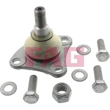 Rotil - (Fiat Ducato) - (SCHAEFFLER-FAG-825027710)