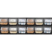 Empressco Sude Kare Saklama Kabı 250 ml x 12 Erzak Kabı 12 Adet Set