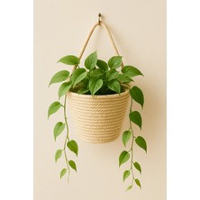 Empressco Sepet Dekoratif Çok Amaçlı Organizer 15X15 cm Bitki ve Askı Dahil Değildir