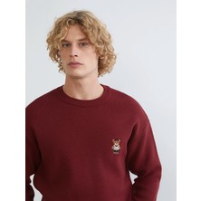 Lc Waikiki Yeni Sezon Bisiklet Yaka Ayı Teddy Nakışlı Erkek Triko Kazak
