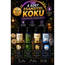 Empressco 4 Adet Uçucu Yağ Buhurdanlık Esansı Oda Kokusu Esansiyel Yağ 10ML Humidifier