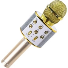 Empressco AS-M09 Karaoke Mikrofon Dahili Hoparlörlü USB Flash Destekli
