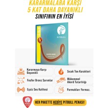 Empressco Coated Seri Akustik Gitar Teli Cag 10-47 Sl