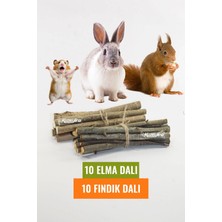Kuzeylina "Kemirgenler İçin Doğal Elma ve Fındık Dalı Seti - 10 Adet Fındık Dalı ve 10 Adet Elma Dalı"