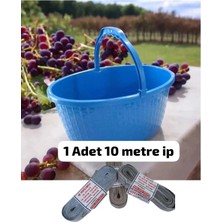 Empressco Plastik Taşıma Sepeti Meyve Sepeti Balkon-Bakkal Sepeti (40 x 30 x 19CM)
