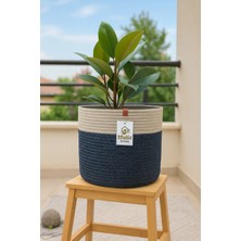 Empressco Jüt-Hasır Çok Amaçlı-Dekoratif-Organizer Saksı Sepeti, Bahçe Düzenleyici Sepet (En:25-Boy:20 Cm)