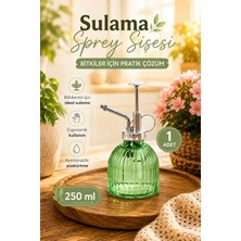 Perotti 15731 Yeşil Vintage Cam Bitki Sulama Şişesi Oda Kokusu Dağıtıcı Çok Amaçlı Sprey Şişe 250 ml