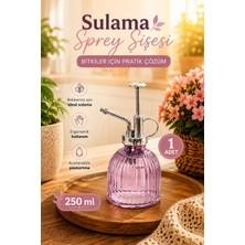 Perotti 15731 Mor Vintage Cam Bitki Sulama Şişesi Oda Kokusu Dağıtıcı Çok Amaçlı Sprey Şişe 250 ml
