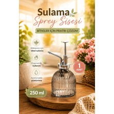 Perotti 15731 Gri Vintage Cam Bitki Sulama Şişesi Oda Kokusu Dağıtıcı Çok Amaçlı Sprey Şişe 250 ml
