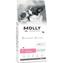 Molly Mini Irk Tavuklu ve Yaban Mersinli Anne & Yavru Köpek Maması 2 kg
