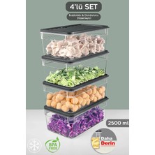 Empressco 4'lü Derin Buzdolabı Organizer Set Düzenleyici Saklama Kabı Mikrodalga Difriz Kabı 2500ML Antrasit
