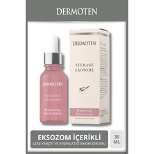 Dermoten Stemagé Exosome Aydınlatıcı Yüz Serumu 30 ml Tüm Cilt Tipleri İçin Etkili Aydınlatma