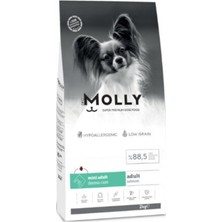 Molly Hipoalerjenik Derma Care Mini Irk Somonlu Yetişkin Köpek Maması 2 kg