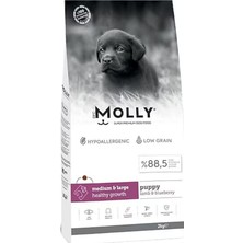 Molly Hipoalerjenik Kuzu Etli ve Yaban Mersinli Büyük Irk Yavru Köpek Maması 2 kg