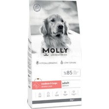 Molly Derma Care Hipoalerjenik Somonlu Büyük Irk Yetişkin Köpek Maması 2 kg