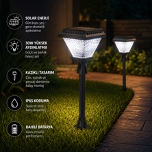 Neeko Güneş Enerjili 30W Solar Kazıklı Çim Armatür Beyaz Işık CT7317