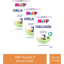 Hipp 2 Organik Devam Sütü 500 gr x 3 Adet