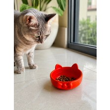 Patimalt Papyon Model Beton Kedi Köpek Mama ve Su Kabı - Turuncu
