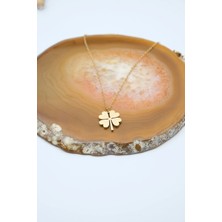 Serenite Collection Clover Gold Renk Çelik Kolye