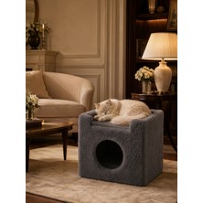 Juge Cat Paris Kedi Evi Gri