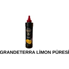 GRANDETERRA Grande Terra Limon Püresi 1000 gr Meyveli Sos Limonata Kokteyl ve Pasta Sosu