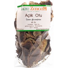Taze Zencefil Açlık Otu