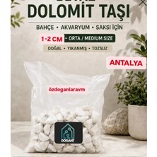 Dogant Beyaz Dolomit Taş 2 kg 1-2 cm Dere Çakıl Taşı
