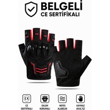 MOTOSOR MOTO MARKET Korumalı Kısa Motosiklet Eldiveni Yasaya Uygun Parmaksız Kırmızı