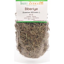 Taze Zencefil Biberiye Otu