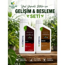 Gübretaş Yeşil Yapraklı Bitkiler Besleme & Gelişim Seti  (Leolife-M 7.7.7 + Leolife-M Micro)-PYZJ-SÜS-SETURN-BBG