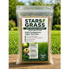 STARS GRASS 6'lı Karışım Çim Tohumu 500 Gr